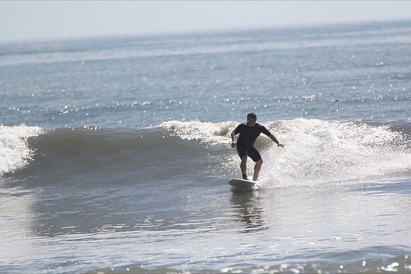 surfing irene. United States, Surfing photo