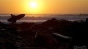 Dawn Patrol. Northern New England, Surfing photo