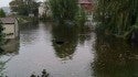 My yard
My backyard and it hasn't even started raining