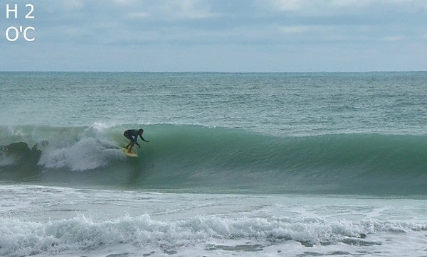 Unknown at Jensen Beach.
Early morning Sunday.