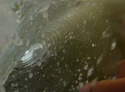 Bodyboarding
Nice small barrel I got in. Very clean