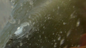 Bodyboarding
Nice small barrel I got in. Very clean