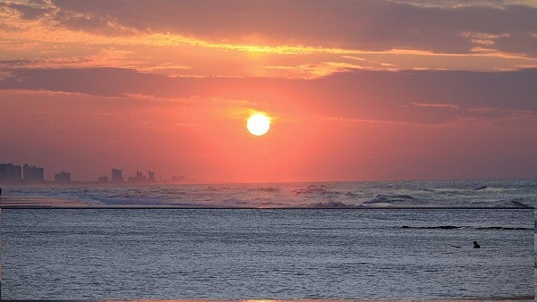 Myrtle Beach Board Sitter
NRT NMB Board Sitter