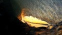 Fire Barrell
March 5th. New York, Empty Wave photo