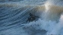 Drake Hickman
Drake Hickman. United States, Surfing photo