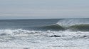 Missed the peak but going for it anyway in Jersey 4-21