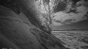 Seeking Shade
Shot on 4/13/13 For more photos follow