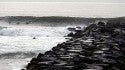 Various. United States, Surfing photo