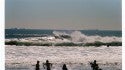 FS CARVE. New York, Surfing photo