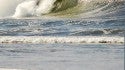 Life in REAL time
At [url]www.realsurftrips.com[/url]