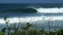 Dreams do come true!
[url]www.realsurftrips.com[/url]