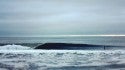 Buxton
10/12/13. Virginia Beach / OBX, Empty Wave photo