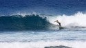 Fun day
Wilderness in March. Puerto Rico, Surfing photo