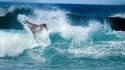 wilderness fins out. Puerto Rico, Surfing photo