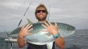King Fish New Zealand
50lb's of King Fish, released