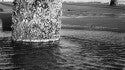 Folly Beach. South Carolina, Empty Wave photo