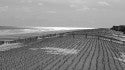 Silent Winter
Winter in LBI. United States, Scenic photo