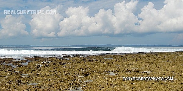 Real Surf Trips
Smiles and shakas all the way around
