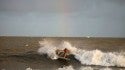 William Davis Hurricane Cristobal. United States, Surfing photo