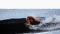 mid-rollo.....tiny wave. United States, surfing photo