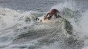 August 8th. New Jersey, Surfing photo