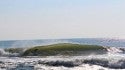 OC MD fun waves
OC MD fun waves
