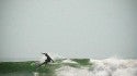 Bertha in RI
glassy peelers all day...