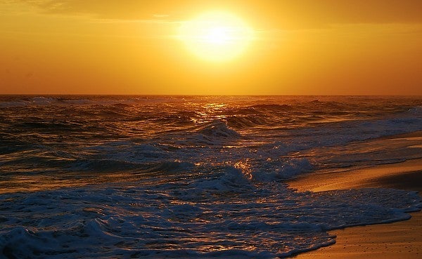 Beach
GULF COAST. United States, Scenic photo