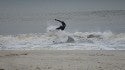 Southern NC, Surfing photo