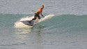Sandy Beach, Oahu, surfing photo
