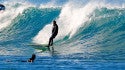 Kewalos, surfing photo