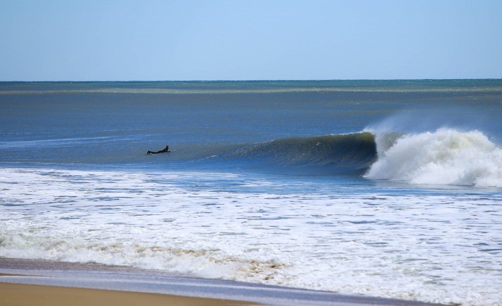 Delmarva, Surfing photo