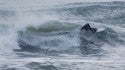 New Jersey, Surfing photo