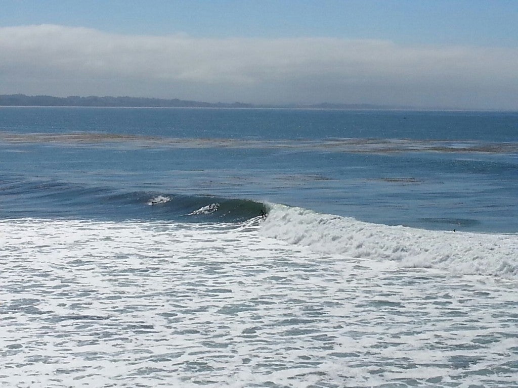 last Wednesday. Central California, surfing photo