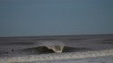 Virginia Beach / OBX, Empty Wave photo