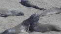 Central California, surfing photo