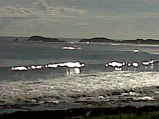 Nicaragua, Surfing photo
