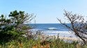 Choose Your own Adventure
CAPE COD, MA
8.14.14