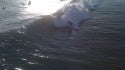 Phone Camera Surf Pic. Florida Panhandle, Surfing photo
