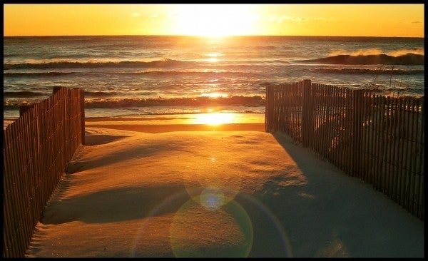 Snow Sunrise
Snowy dunes with a bumpy right coming