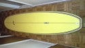 New York, surfing photo