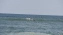 Delmarva, Surfing photo