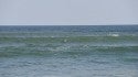 Delmarva, Surfing photo
