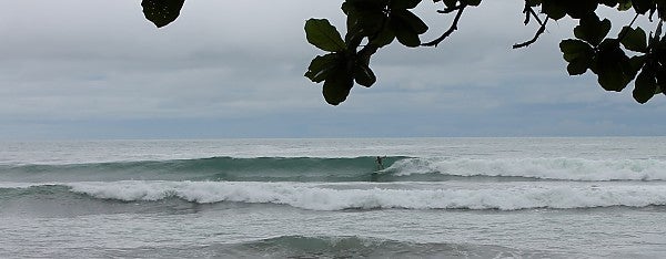 Esterillos Costa Rica
Glass perfection. Costa Rica, Surfing photo
