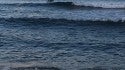 South Pacific Islands, Surfing photo