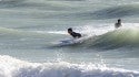 West Florida, Surfing photo