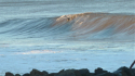 jersey juice. New Jersey, Surfing photo