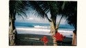 Backyard, Costa Rica. United States, Empty Wave photo