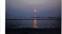 Virginia Beach Dawn Patrol
Alvin in the middle