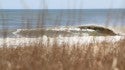 OCMD
Springtime Surf. Delmarva, Empty Wave photo